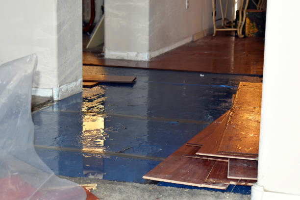Professional Water Damage technician working in Pleasureville, PA